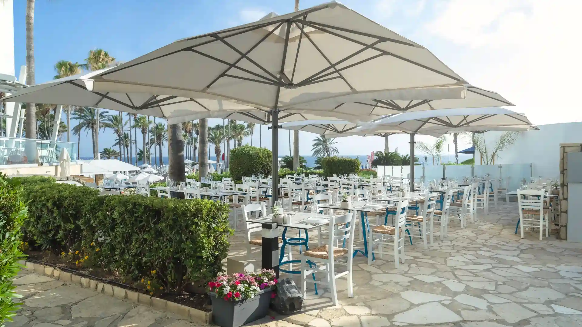 Leonardo Plaza Cypria Maris Beach Hotel & Spa - הטברנה היוונית מוריו (Mourayio Greek Taverna)