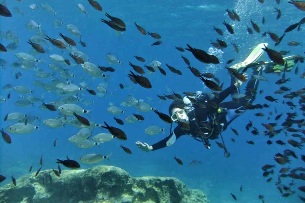 מועדון צלילה DGR Scuba