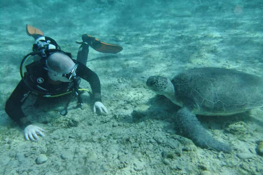 מועדון צלילה DGR Scuba