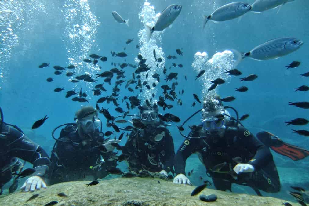 מועדון צלילה DGR Scuba