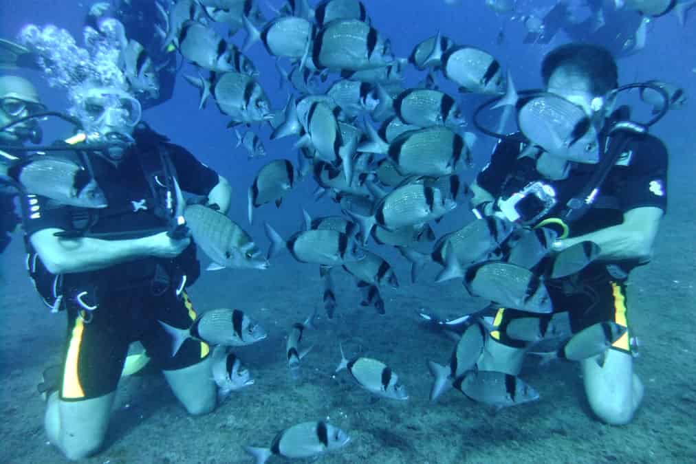 מועדון צלילה DGR Scuba